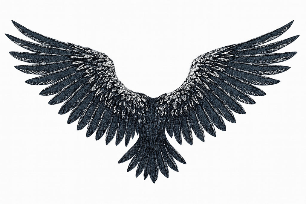 Wings Design Oversized fit Tshirt